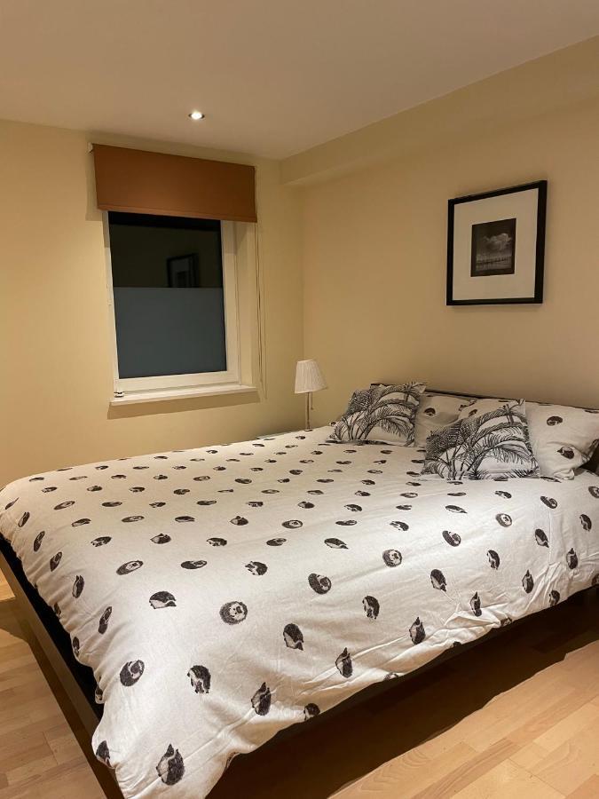 Modern Apartment In Central London By River Thames 외부 사진